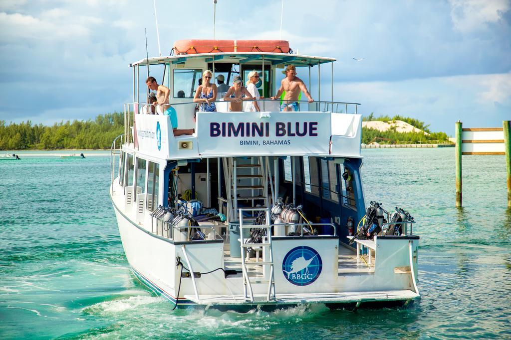 Bimini Big Game Club Resort & Marina Alice Town  Exterior foto